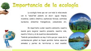 como-la-ecologia-ayuda-a-mejorar-nuestro-planeta-descubre-la-importancia-de-la-ecologia-para-el-futuro-de-la-humanidad