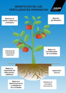 como-la-fertilizacion-organica-mejora-la-calidad-y-rendimiento-de-los-cultivos