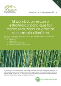 Los Beneficios del Bambú para el Medio Ambiente: Por Qué Es Tan Important los-beneficios-del-bambu-para-el-medio-ambiente-por-que-es-tan-important