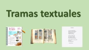 ¿Cuáles son las 6 tramas? ¿Cuales-son-las-6-tramas