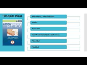 ¿Cuales-son-los-5-principios-eticos