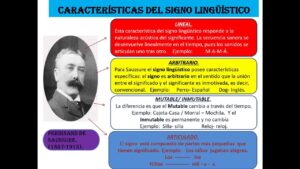 ¿Que-es-el-modelo-Organon
