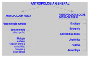 como-se-divide-la-antropologia-biologica-o-fisica