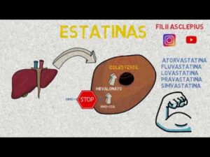 ¿Por qué las estatinas potencian la salud cardiovascular? Descubre su impacto y beneficios estatinas-potencia