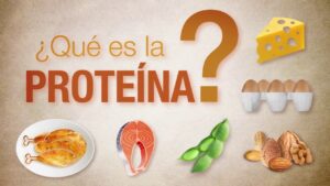 nombres-de-proteinas