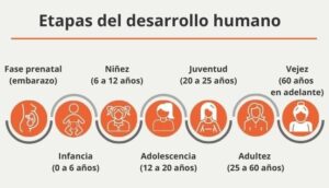 ¿Quién hablo de las 8 etapas del desarrollo humano? quien-hablo-de-las-8-etapas-del-desarrollo-humano