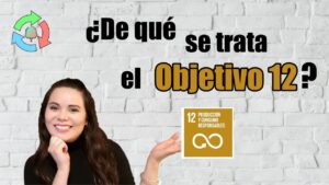 ¿Cual-es-el-objetivo-12-de-la-Agenda-2030