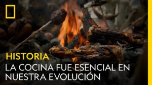 ¿Cuál fue el primer platillo del mundo? ¿Cual-fue-el-primer-platillo-del-mundo