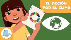 ¿Es-la-accion-climatica-sostenible