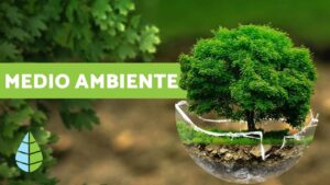 ¿Que-es-el-principio-3-del-medio-ambiente