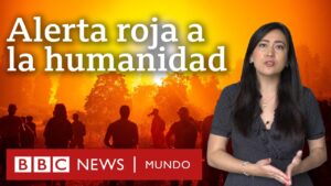 ¿Qué ha hecho la ONU frente al cambio climático? ¿Que-ha-hecho-la-ONU-frente-al-cambio-climatico
