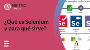 ¿Qué lenguaje de programación usa Selenium? ¿Que-lenguaje-de-programacion-usa-Selenium