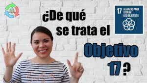 ¿Que-nos-dice-la-ODS-17