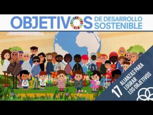¿Que-propone-el-ODS-17